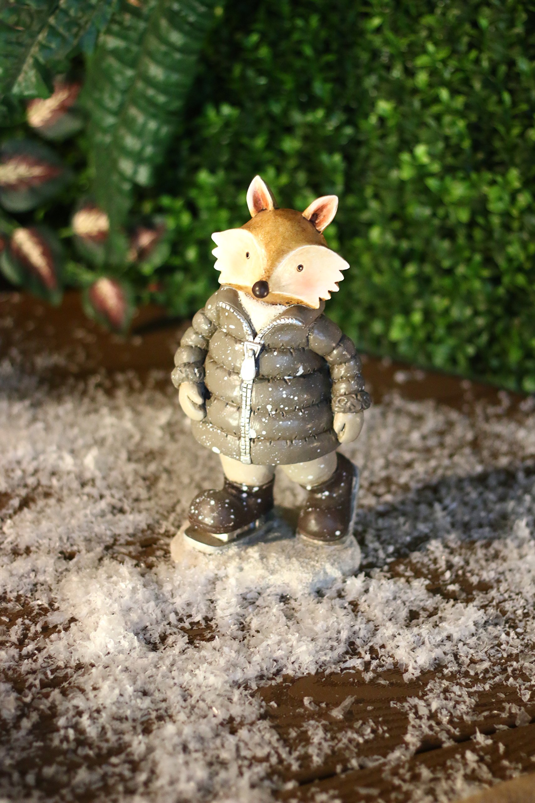 Front Page -Northlight Shop 91GvvtVWmpL