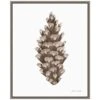 16 In. W X 19.62 In. H Peace And Joy Pinecone Christmas Holiday Framed Canvas Box Wall Art 12 16 In. W X 19.62 In. H Peace And Joy Pinecone Christmas Holiday Framed Canvas Box Wall Art -Northlight Shop amanti art christmas wall decorations 38865447825 64 1000