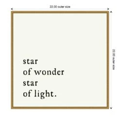 22 In. Star Of Wonder Christmas Holiday Framed Canvas Box Wall Art -Northlight Shop amanti art christmas wall decorations 38865456299 1f 1000