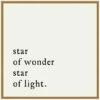 22 In. Star Of Wonder Christmas Holiday Framed Canvas Box Wall Art -Northlight Shop amanti art christmas wall decorations 38865456299 64 1000
