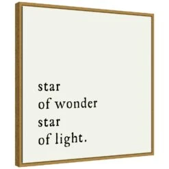 22 In. Star Of Wonder Christmas Holiday Framed Canvas Box Wall Art -Northlight Shop amanti art christmas wall decorations 38865456299 c3 1000