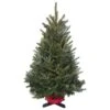 2.5/3.5 Ft. ICI Fresh Cut Table Top Noble Fir Christmas Tree, W/STAND 15 2.5/3.5 Ft. ICI Fresh Cut Table Top Noble Fir Christmas Tree, W/STAND -Northlight Shop busco llc real christmas trees icinf2 3busco 64 1000