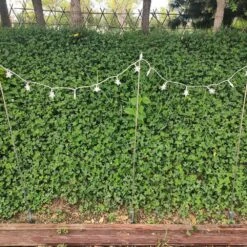 12 Pcs Pack For 37 In. Quick Light Post In Galvanized Color 11 12 Pcs Pack For 37 In. Quick Light Post In Galvanized Color -Northlight Shop christmas light accessories jlb qlp qlp01 4f 1000