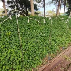 12 Pcs Pack For 37 In. Quick Light Post In Galvanized Color 10 12 Pcs Pack For 37 In. Quick Light Post In Galvanized Color -Northlight Shop christmas light accessories jlb qlp qlp01 c3 1000