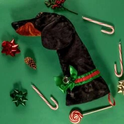 22 In. Black And Tan Dachshund Dog Faux Fur Christmas Stocking 9 22 In. Black And Tan Dachshund Dog Faux Fur Christmas Stocking -Northlight Shop christmas stockings hh16 44 1000