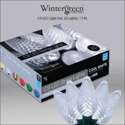SuperBright 16 Ft. 25-Light LED Cool White C9 String Light Set -Northlight Shop christmas string lights 20346 44 1000