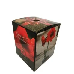 Red Lion Amaryllis Holiday Planting Box Kit -Northlight Shop daylily nursery fresh christmas plants 36544893 c3 1000