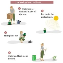 Silver Waxed Red Blooming Giant Amaryllis Bulbs (3-Pack) -Northlight Shop fresh christmas plants hd9024 fa 1000