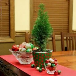 2.25 Gal. Live Table Top Christmas Tree Green Giant Arborvitae Shrub