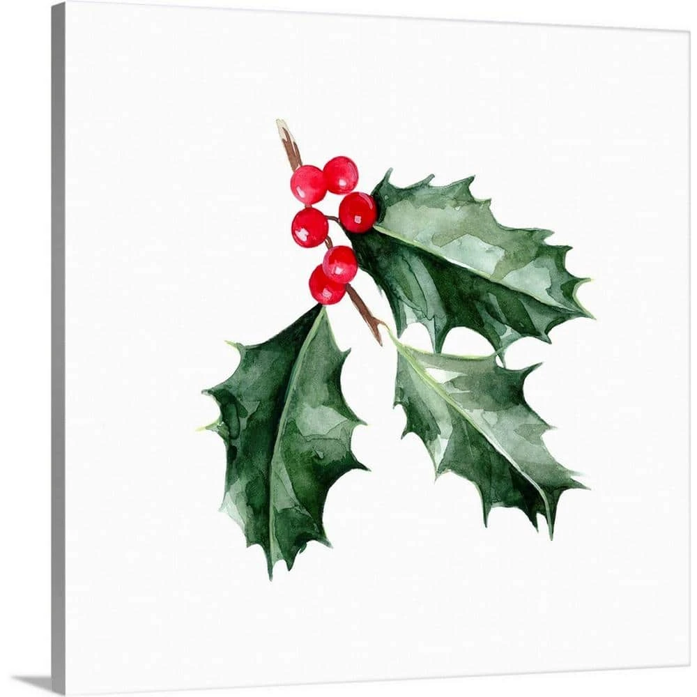 30 In. X 30 In. Christmas Holly I By Emma Scarvey Canvas Wall Art 1 30 In. X 30 In. Christmas Holly I By Emma Scarvey Canvas Wall Art