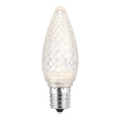 Home Accents Holiday Warm White Commercial Grade Shatter-Resistant Faceted C9 LED Replacement Bulbs (50-Pack)
