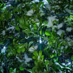 Home Accents Holiday 150 Count Cool White Mini LED Net Lights -Northlight Shop home accents holiday christmas net lights 24rt4131615cw a0 1000