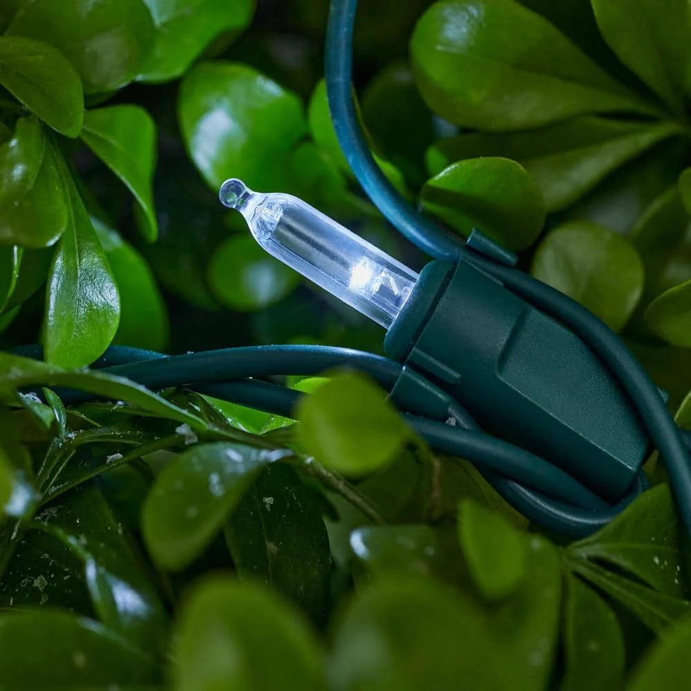 Home Accents Holiday 150 Count Cool White Steady Lit Mini LED Net Lights 3 Home Accents Holiday 150 Count Cool White Steady Lit Mini LED Net Lights - Image 3