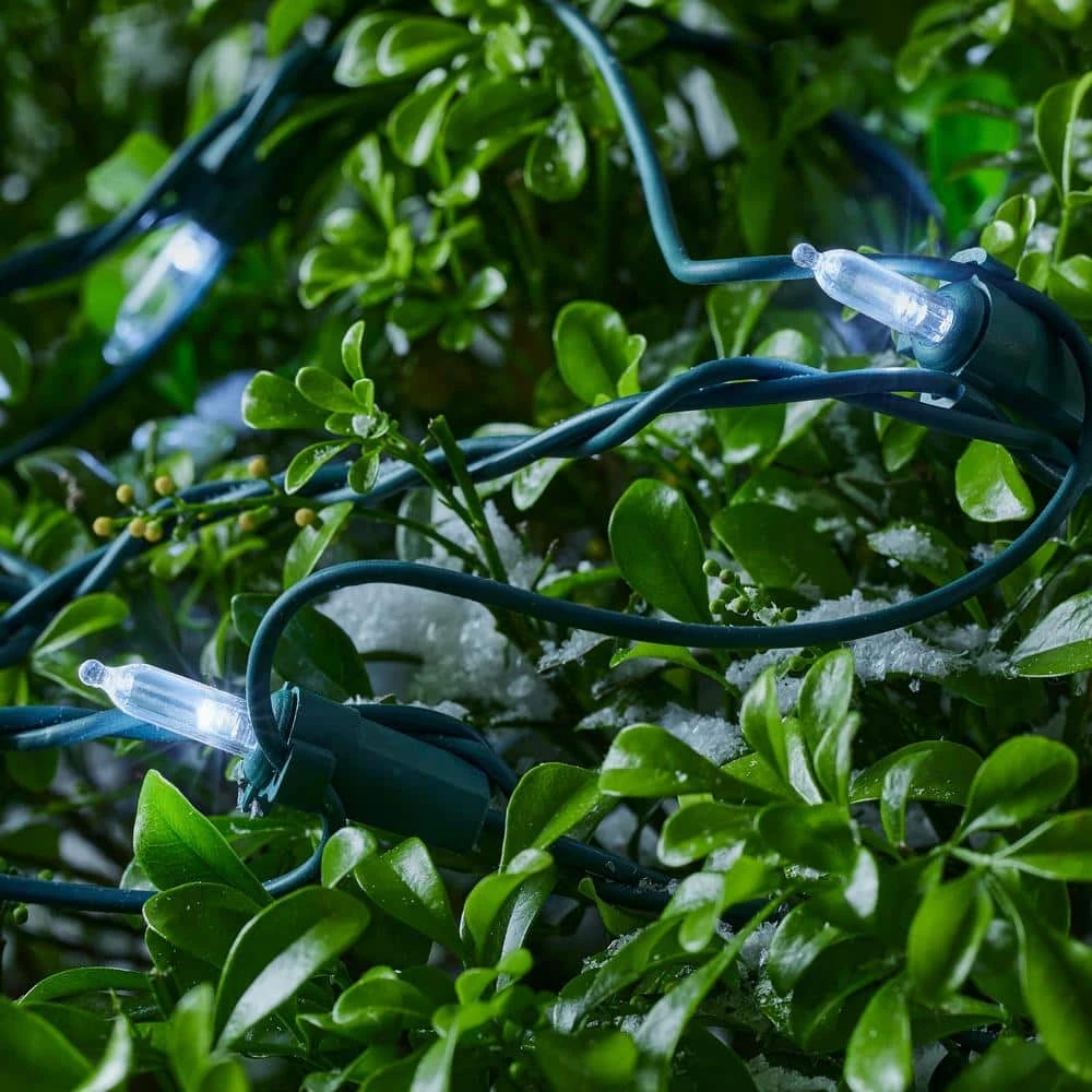 Home Accents Holiday 150 Count Cool White Steady Lit Mini LED Net Lights 4 Home Accents Holiday 150 Count Cool White Steady Lit Mini LED Net Lights - Image 4