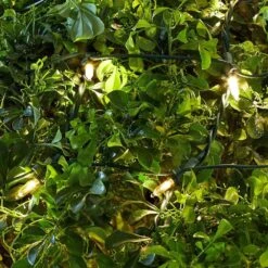 Home Accents Holiday 4 Ft. X 6 Ft. 150-Light LED Warm White Smooth Super Bright Constant On Twinkle Mini Net Light -Northlight Shop home accents holiday christmas net lights ty384 2015 1d 1000