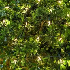 Home Accents Holiday 4 Ft. X 6 Ft. 150-Light LED Warm White Smooth Super Bright Constant On Twinkle Mini Net Light -Northlight Shop home accents holiday christmas net lights ty384 2015 a0 1000