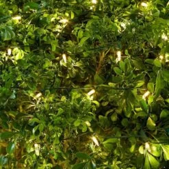 Home Accents Holiday 150 Count Warm White Mini LED Net Lights -Northlight Shop home accents holiday christmas net lights ty414 1615sww a0 1000