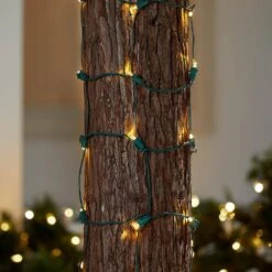 Home Accents Holiday 2 Ft. X 10 Ft. 144-Light Dome LED Warm White Net Light -Northlight Shop home accents holiday christmas net lights ty597 1715ww a0 1000