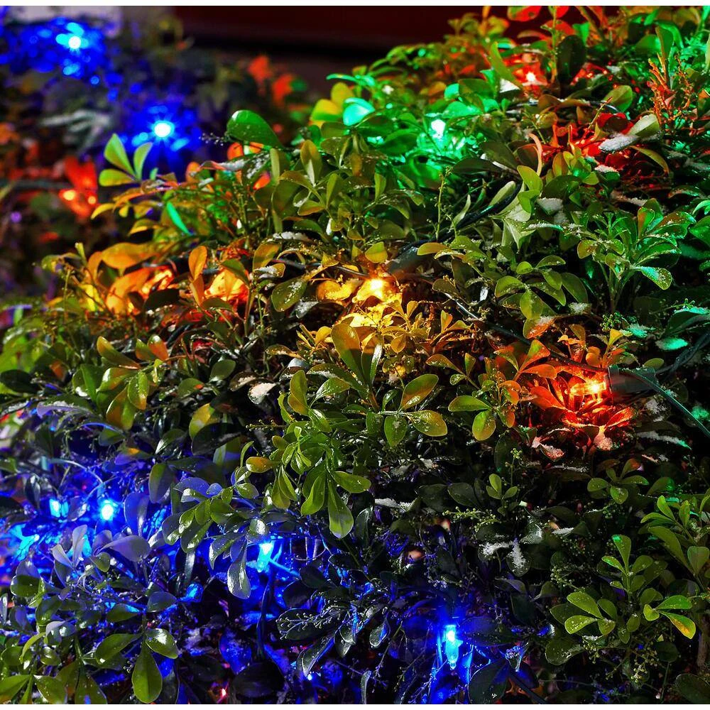 Home Accents Holiday 150 Count Multi-Colored Steady Lit Mini LED Net Lights 3 Home Accents Holiday 150 Count Multi-Colored Steady Lit Mini LED Net Lights - Image 3