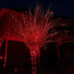 17 Ft. 50-Light Red 5 Mm LED Mini Light Set -Northlight Shop kringle traditions christmas string lights 75961 31 1000