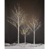 4 Ft., 6 Ft., 8 Ft. Pre-Lit Birch Tree Warm White, Artificial Christmas Tree For Festival, Party,&Christmas Decoration -Northlight Shop lightshare pre lit christmas trees bhs468ft 64 1000