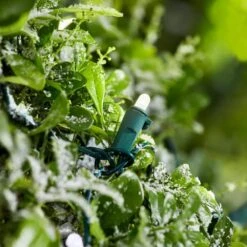 48 In. High X 66 In. Wide 70-Light LuxeSparkle White/Diamond White Christmas Net Light With Green Wire -Northlight Shop lightshow christmas net lights 21gm18855 40 1000