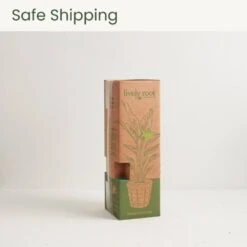 6 In. Holiday Poinsettia (Euphorbia Pulcherrima) In Medium Chai Eco Pot -Northlight Shop lively root fresh christmas plants lrhpin6chai fa 1000