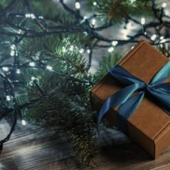 9.5 Ft. 25-Light Warm White Battery Operated String Lights (Set Of 2) -Northlight Shop lumabase christmas string lights 66002 44 1000