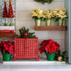2 Qt. Christmas Poinsettia Red With Green Foil (3-Pack) 9 2 Qt. Christmas Poinsettia Red With Green Foil (3-Pack) -Northlight Shop metrolina greenhouses fresh christmas plants 4446 4f 1000