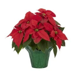 1.5 Qt. Live Christmas Poinsettia Red With Green Foil Holiday Plant (3-Pack) -Northlight Shop metrolina greenhouses fresh christmas plants 5231 c3 1000
