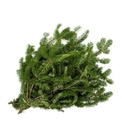 18 In. Holiday Greens Bough Bundle Fraser Fir (1-Pack)