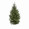 6 Ft. Live Cut Fraser Fir Christmas Tree (1-Pack) -Northlight Shop metrolina greenhouses real christmas trees 5324 64 1000