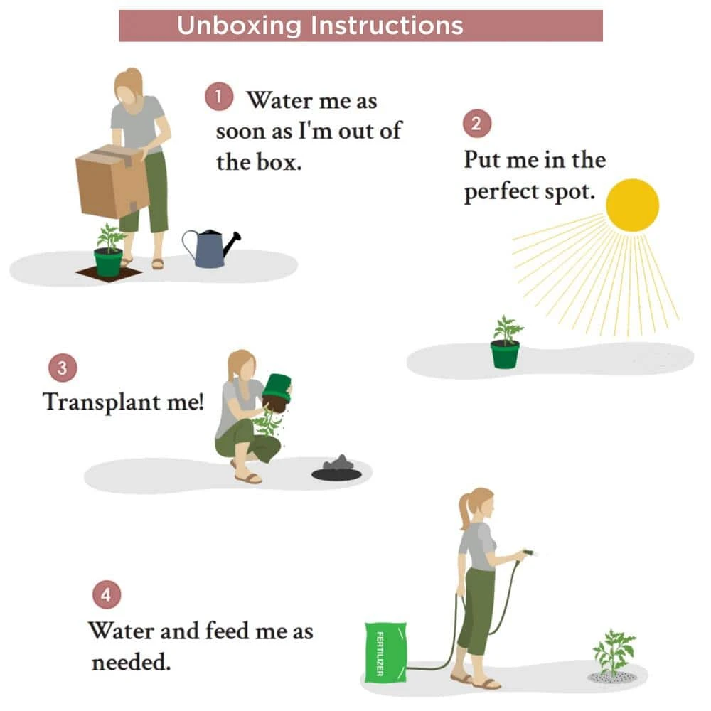 20 Ft. Cedar And White Pine Garland 3 20 Ft. Cedar And White Pine Garland - Image 3