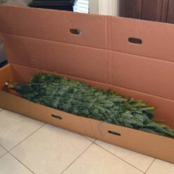 6 Ft. To 6.5 Ft. Freshly Cut Fraser Fir Real Christmas Tree (Live) 18 6 Ft. To 6.5 Ft. Freshly Cut Fraser Fir Real Christmas Tree (Live) -Northlight Shop national plant network real christmas trees hd9000 1f 1000