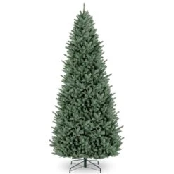 12 Ft. Natural Fraser Slim Fir Tree