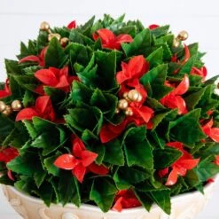 22 In. UV Resistant Artificial Red Tip Photinia Christmas Ball In Classic Decorative Planter (Indoor/Outdoor) 8 22 In. UV Resistant Artificial Red Tip Photinia Christmas Ball In Classic Decorative Planter (Indoor/Outdoor) -Northlight Shop nearly natural artificial christmas plants p2208 4f 1000