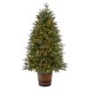 5 Ft. Pre-Lit LED Porch Artificial Christmas Tree With 200-Lights And 497 Bendable Branches In Decorative Planter 17 5 Ft. Pre-Lit LED Porch Artificial Christmas Tree With 200-Lights And 497 Bendable Branches In Decorative Planter -Northlight Shop nearly natural pre lit christmas trees t3282 64 1000