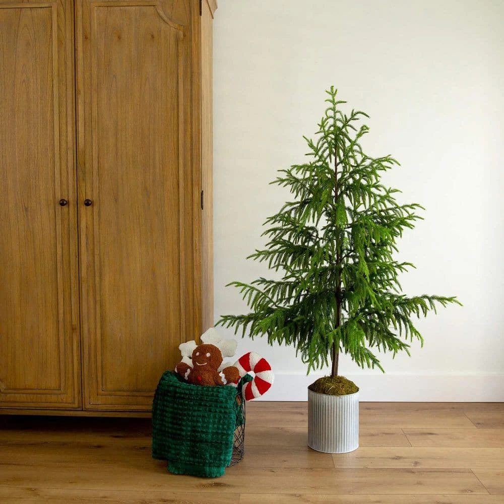5 Ft. Artificial Real Touch Norfolk Island Pine In Metal Tin Planter With Natural Look 6 5 Ft. Artificial Real Touch Norfolk Island Pine In Metal Tin Planter With Natural Look - Image 6