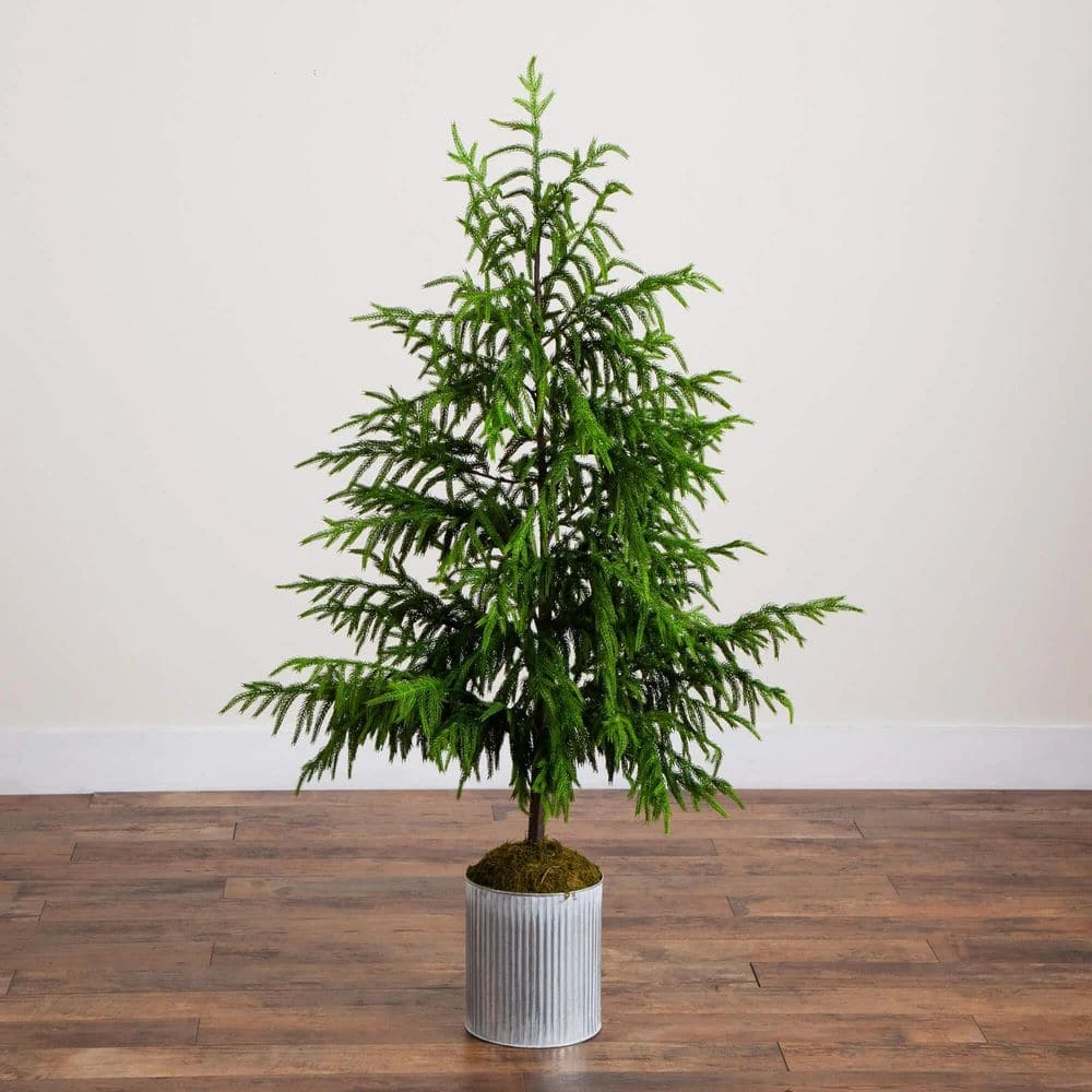 5 Ft. Artificial Real Touch Norfolk Island Pine In Metal Tin Planter With Natural Look 5 5 Ft. Artificial Real Touch Norfolk Island Pine In Metal Tin Planter With Natural Look - Image 5
