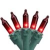 Northlight Set Of 100 Red Mini Christmas Lights 2.5 In. Spacing With Green Wire