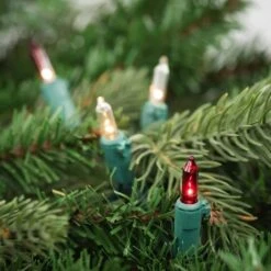 Northlight Set Of 100 Red And Clear Mini Christmas Lights 2.5 In. Spacing With Green Wire -Northlight Shop northlight christmas string lights 32602430 31 1000