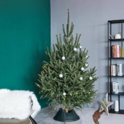 Northlight Green Plastic Live Christmas Tree Stand - For Trees Up To 8 Ft. Tall -Northlight Shop northlight christmas tree stands 34858419 31 1000