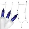 Northlight 7 Ft. 100-Light Blue Mini Icicle Lights
