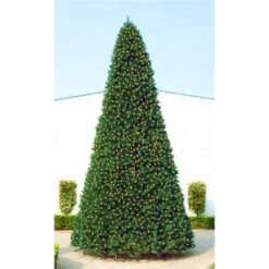 Northlight Pre-Lit Pencil Pine Artificial Christmas Tree-15 Ft. -Clear Lights -Northlight Shop northlight pre lit christmas trees 33388892 1f 1000