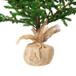 Northlight 4'-Clear Lights Pre-lit Artificial Christmas Tree With Pinecones And Burlap Base -Northlight Shop northlight pre lit christmas trees 35835129 fa 1000