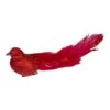 Northlight 7 In. Red Glittered Bird With Feathers Christmas Clip On Ornament -Northlight Shop northlight single christmas ornaments 34300530 64 1000