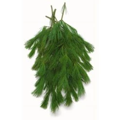 24 In. Bunched Princess Pine Boughs Freshly Cut From Pacific Northwest Forests (5-Pack)