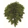 24 In. Bunched Noble Fir Boughs Freshly Cut From Pacific Northwest Forests (5-Pack)