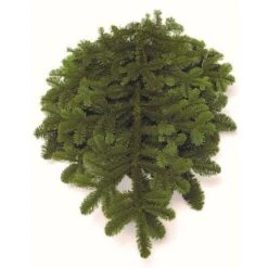 24 In. Bunched Noble Fir Boughs Freshly Cut From Pacific Northwest Forests (5-Pack)