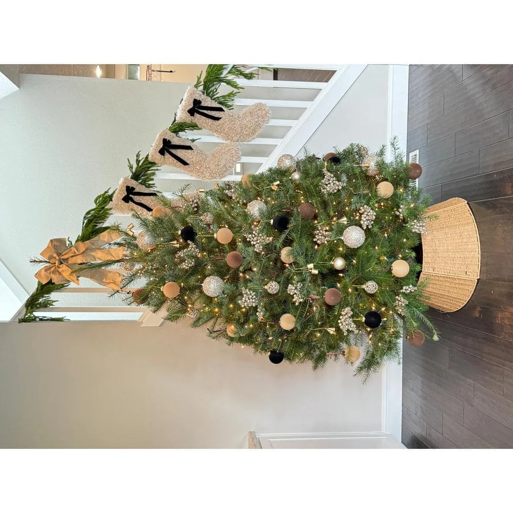4 Ft. To 5 Ft. Freshly Cut Douglas Fir Live Christmas Tree (Real, Natural, Oregon-Grown) 3 4 Ft. To 5 Ft. Freshly Cut Douglas Fir Live Christmas Tree (Real, Natural, Oregon-Grown) - Image 3